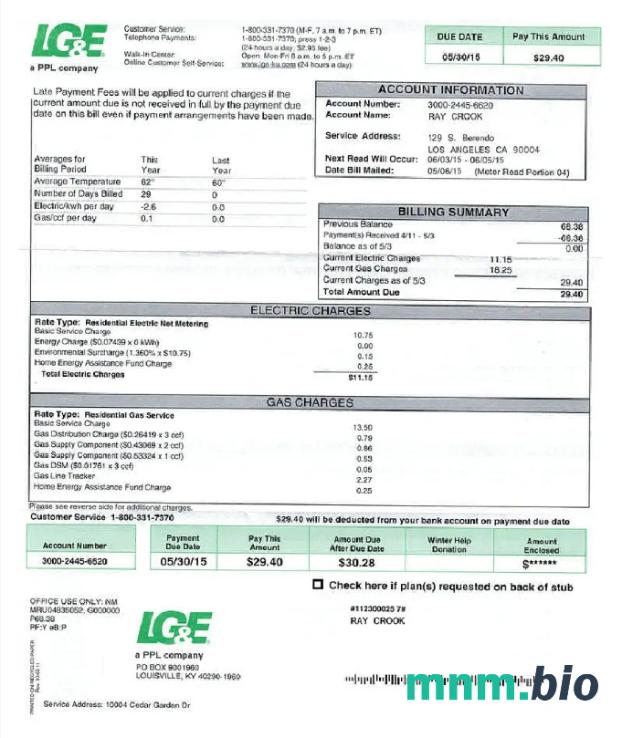 USA LG & E rachunek za media Word i szablon PDF